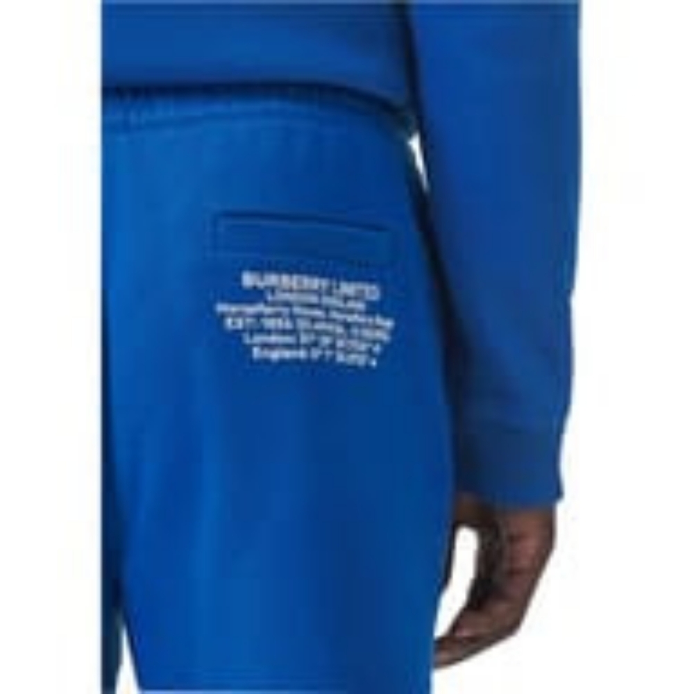 Nwt $570 sz XL Burberry men's blue logo shorts